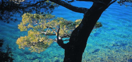 Croisière de criques en îles sur le MS Spirito, Croisière Croatie, Dubrovnik par Ôvoyages Croisière de criques en îles sur le MS Spirito, Croisière Croatie, Dubrovnik par Ôvoyages