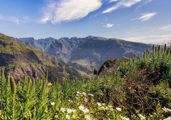 Circuit Au Cœur de Madère - Logement à l'hôtel Muthu Raga Madeira 4* Circuit Au Cœur de Madère - Logement à l'hôtel Muthu Raga Madeira 4*