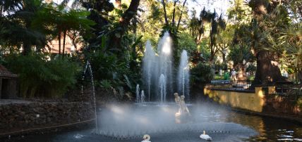 Circuit Au Cœur de Madère - Logement à l'hôtel Muthu Raga Madeira 4*, Circuit Portugal, Madère, Île de Madère par Ôvoyages Circuit Au Cœur de Madère - Logement à l'hôtel Muthu Raga Madeira 4*, Circuit Portugal, Madère, Île de Madère par Ôvoyages