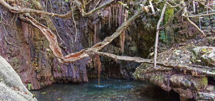 Circuit Grand Tour de Chypre 3*, Circuit Chypre par Ôvoyages Circuit Grand Tour de Chypre 3*, Circuit Chypre par Ôvoyages