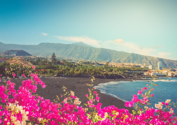 Hôtel Fergus Puerto De La Cruz 4* Hôtel Fergus Puerto De La Cruz 4*