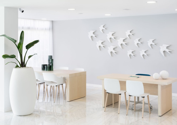 Hôtel BlueSea Interpalace 4* Hôtel BlueSea Interpalace 4*