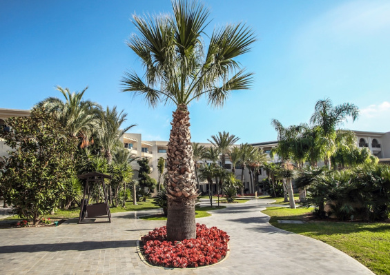 Hôtel & Spa The Russelior 5* Hôtel & Spa The Russelior 5*