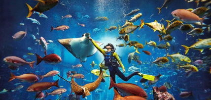 Hôtel Atlantis The Royal 5*, Séjour Emirats Arabes Unis, Dubaï par Ôvoyages Hôtel Atlantis The Royal 5*, Séjour Emirats Arabes Unis, Dubaï par Ôvoyages