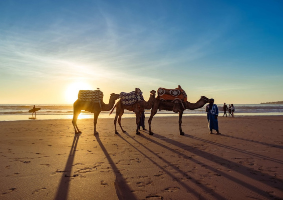 Hôtel Radisson Blu Resort Taghazout Bay Surf Village 4* Hôtel Radisson Blu Resort Taghazout Bay Surf Village 4*