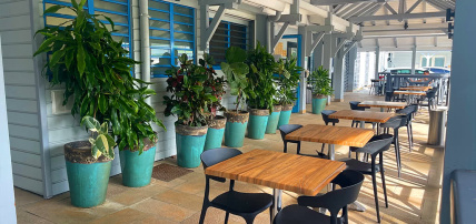 Hôtel Karaïbes 2*, Séjour Antilles, Guadeloupe par Ôvoyages Hôtel Karaïbes 2*, Séjour Antilles, Guadeloupe par Ôvoyages