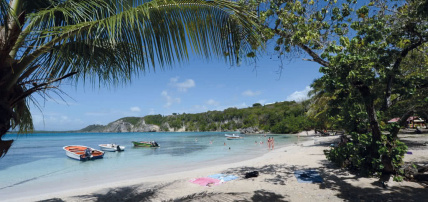 Hôtel Petit Havre 2*, Séjour Antilles, Guadeloupe par Ôvoyages Hôtel Petit Havre 2*, Séjour Antilles, Guadeloupe par Ôvoyages