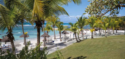Hôtel Village Pierre & Vacances Sainte-Anne 3*, Séjour Guadeloupe par Ôvoyages Hôtel Village Pierre & Vacances Sainte-Anne 3*, Séjour Guadeloupe par Ôvoyages