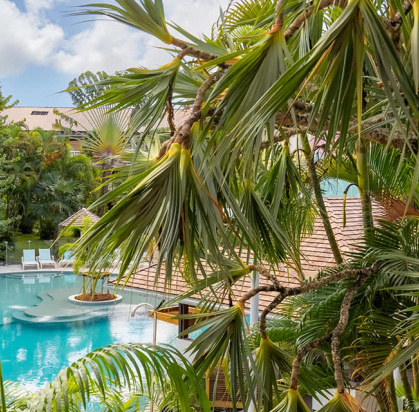 Hôtel Tropical Garden La Pagerie 4*, Séjour Antilles, Martinique par Ôvoyages Hôtel Tropical Garden La Pagerie 4*, Séjour Antilles, Martinique par Ôvoyages