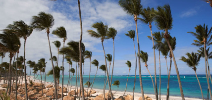 Hôtel Paradisus Palma Real 5*, Séjour République Dominicaine, Punta Cana par Ôvoyages Hôtel Paradisus Palma Real 5*, Séjour République Dominicaine, Punta Cana par Ôvoyages