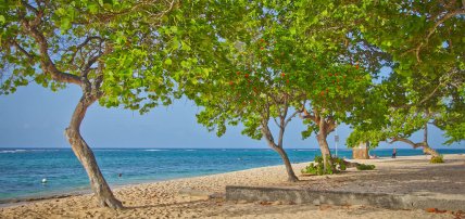 Hôtel Résidence Tropicale, Séjour Antilles, Guadeloupe par Ôvoyages Hôtel Résidence Tropicale, Séjour Antilles, Guadeloupe par Ôvoyages