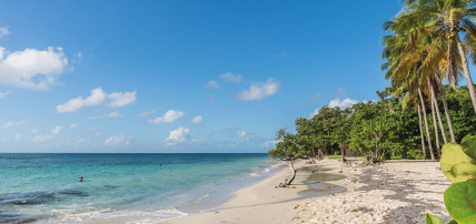 Résidence Cayalines, Séjour Antilles, Martinique par Ôvoyages Résidence Cayalines, Séjour Antilles, Martinique par Ôvoyages