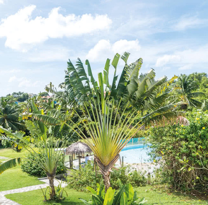 Résidence Cayalines, Séjour Antilles, Martinique par Ôvoyages Résidence Cayalines, Séjour Antilles, Martinique par Ôvoyages