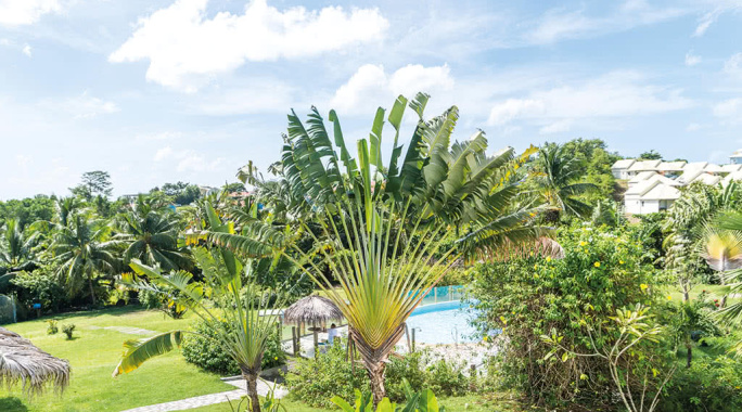 Résidence Cayalines, Séjour Antilles, Martinique par Ôvoyages Résidence Cayalines, Séjour Antilles, Martinique par Ôvoyages