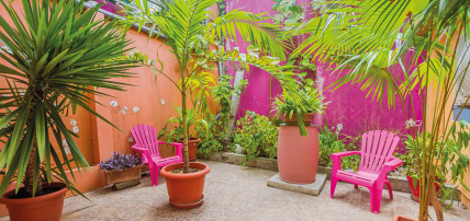Gîtes de l'Alamanda Jaune, Séjour Antilles, Guadeloupe par Ôvoyages Gîtes de l'Alamanda Jaune, Séjour Antilles, Guadeloupe par Ôvoyages