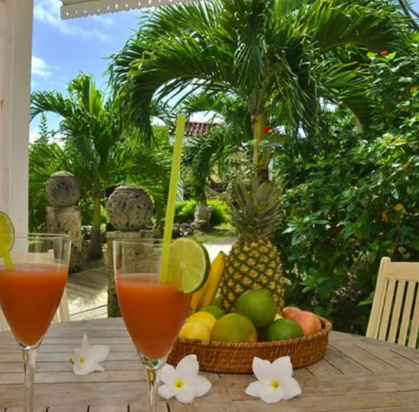 Hôtel Résidence Shamballa, Séjour Antilles, Martinique par Ôvoyages Hôtel Résidence Shamballa, Séjour Antilles, Martinique par Ôvoyages