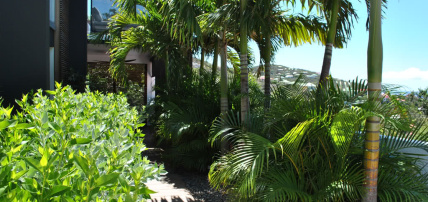 Hôtel Rêve de Saint Barth, Séjour Antilles, Saint-Barthélemy par Ôvoyages Hôtel Rêve de Saint Barth, Séjour Antilles, Saint-Barthélemy par Ôvoyages