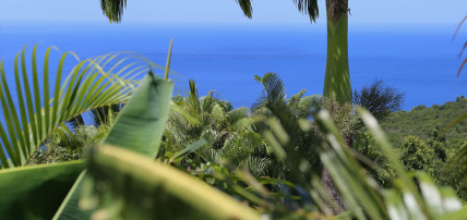 Villa Cacao, Séjour Antilles, Guadeloupe par Ôvoyages Villa Cacao, Séjour Antilles, Guadeloupe par Ôvoyages