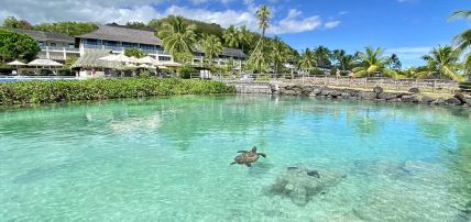 Hôtel Intercontinental Tahiti Resort and Spa 4*, Séjour Polynésie Française, Tahiti par Ôvoyages Hôtel Intercontinental Tahiti Resort and Spa 4*, Séjour Polynésie Française, Tahiti par Ôvoyages