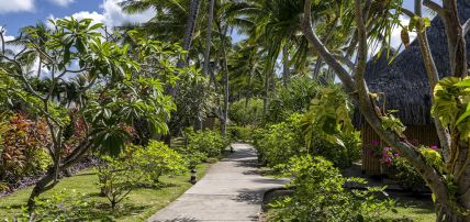 Combiné 3 îles Polynésie 4* - Intercontinental Tahiti Resort & Spa, Manava Beach Resort & Spa & Intercontinental Bora Bora Le Moana, Combiné Polynésie Française, Tahiti par Ôvoyages Combiné 3 îles Polynésie 4* - Intercontinental Tahiti Resort & Spa, Manava Beach Resort & Spa & Intercontinental Bora Bora Le Moana, Combiné Polynésie Française, Tahiti par Ôvoyages