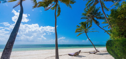 Hôtel Indigo Beach Zanzibar 4*, Séjour Tanzanie, Zanzibar par Ôvoyages Hôtel Indigo Beach Zanzibar 4*, Séjour Tanzanie, Zanzibar par Ôvoyages