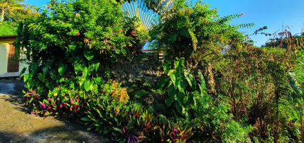 Villa Caraibes, Séjour Antilles, Guadeloupe par Ôvoyages Villa Caraibes, Séjour Antilles, Guadeloupe par Ôvoyages