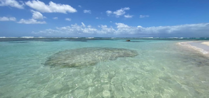 Lodge Karucoco - Deshaies 4*, Séjour Antilles, Guadeloupe par Ôvoyages Lodge Karucoco - Deshaies 4*, Séjour Antilles, Guadeloupe par Ôvoyages