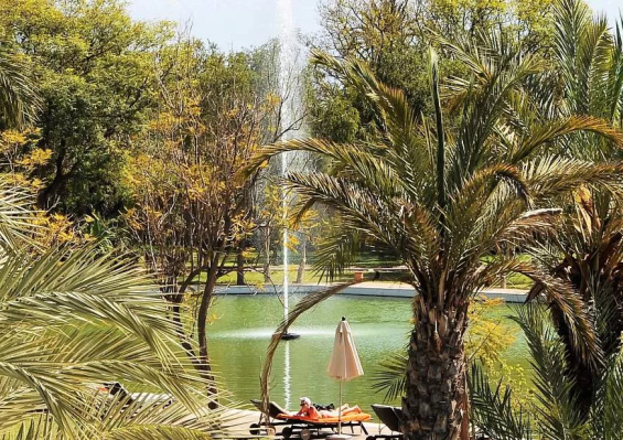 Hôtel Barcelo Palmeraie Oasis Resort 5* Hôtel Barcelo Palmeraie Oasis Resort 5* - photo 3