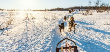 Hôtel Samperin Savotta en chalet (activités Hôtel Samperin Savotta en chalet (activités