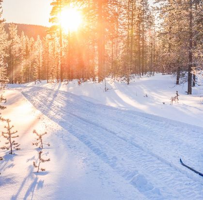 Hôtel Samperin Savotta (activités Hôtel Samperin Savotta (activités