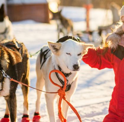 Hôtel Samperin Savotta en chalet (activités Hôtel Samperin Savotta en chalet (activités