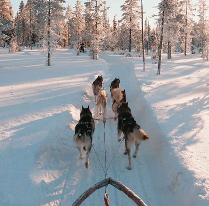 Hôtel Samperin Savotta (activités Au Cœur de la Laponie incluses), Séjour Finlande, Laponie par Ôvoyages Hôtel Samperin Savotta (activités Au Cœur de la Laponie incluses), Séjour Finlande, Laponie par Ôvoyages