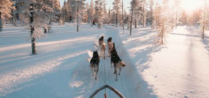 Hôtel Samperin Savotta en chalet (activités Hôtel Samperin Savotta en chalet (activités