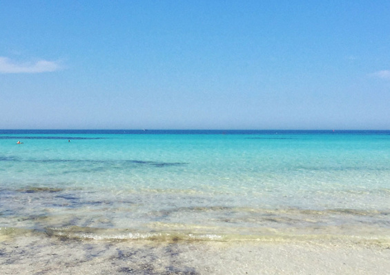 Hôtel Seabel Rym Beach 4* Hôtel Seabel Rym Beach 4*