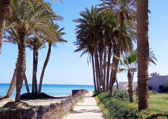 Hôtel Mondi Club Zita Beach 4* Hôtel Mondi Club Zita Beach 4*