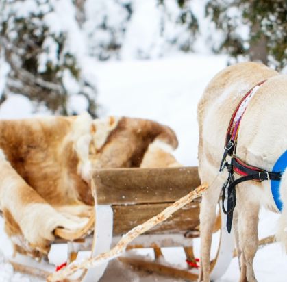 Hôtel Merihovi (activités Hôtel Merihovi (activités