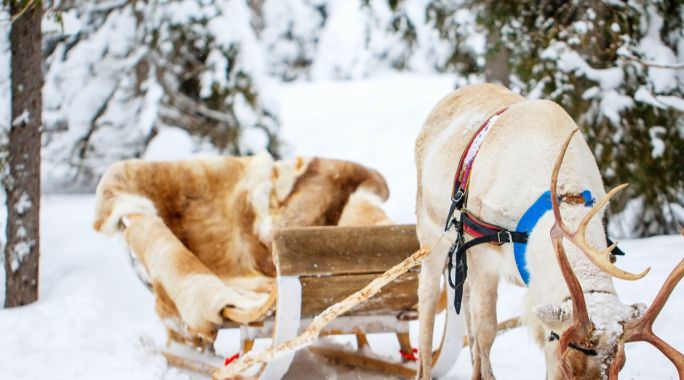 Hôtel Merihovi (activités Hôtel Merihovi (activités