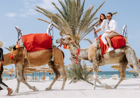 Hôtel Djerba Golf Resort & Spa 4* Hôtel Djerba Golf Resort & Spa 4*