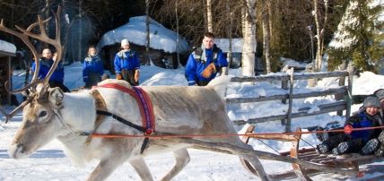 Hôtel Suomutunturi (activités à la carte incluses), Séjour Finlande, Laponie par Ôvoyages Hôtel Suomutunturi (activités à la carte incluses), Séjour Finlande, Laponie par Ôvoyages