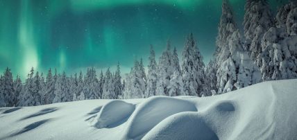 Hôtel Suomutunturi (activités à la carte incluses), Séjour Finlande, Laponie par Ôvoyages Hôtel Suomutunturi (activités à la carte incluses), Séjour Finlande, Laponie par Ôvoyages