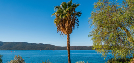 Hôtel Bodrum Holiday Resort & Spa 5*, Séjour Turquie, Bodrum par Ôvoyages Hôtel Bodrum Holiday Resort & Spa 5*, Séjour Turquie, Bodrum par Ôvoyages