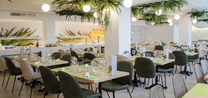 Hôtel BQ Paguera Boutique 4* Adult Only +16, Séjour Espagne & ses îles, Baléares, Majorque par Ôvoyages Hôtel BQ Paguera Boutique 4* Adult Only +16, Séjour Espagne & ses îles, Baléares, Majorque par Ôvoyages