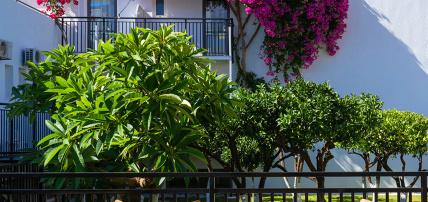 Hôtel Malia Holidays 3*, Séjour Grèce & ses îles, Crète par Ôvoyages Hôtel Malia Holidays 3*, Séjour Grèce & ses îles, Crète par Ôvoyages