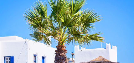 Hôtel Yiannaki 4*, Séjour Grèce & ses îles, Cyclades, Mykonos par Ôvoyages Hôtel Yiannaki 4*, Séjour Grèce & ses îles, Cyclades, Mykonos par Ôvoyages