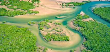Ôcombiné Le Sénégal Authentique & Neptune Saly 4*, Combiné Sénégal par Ôvoyages Ôcombiné Le Sénégal Authentique & Neptune Saly 4*, Combiné Sénégal par Ôvoyages