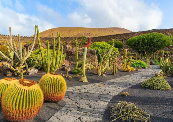 Combiné THB Flora 3* by Ôvoyages & Smart club SMY Tahona 3* Combiné THB Flora 3* by Ôvoyages & Smart club SMY Tahona 3*