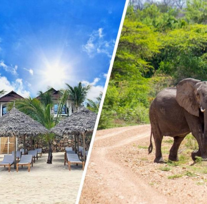 Combiné Ôclub Zen Sansi Kendwa Beach Resort 4* & Safari 2 nuits en avion, Combiné Tanzanie, Zanzibar par Ôvoyages Combiné Ôclub Zen Sansi Kendwa Beach Resort 4* & Safari 2 nuits en avion, Combiné Tanzanie, Zanzibar par Ôvoyages