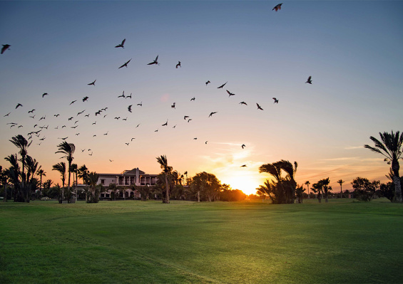 Ôclub Select Pickalbatros Hotel du Golf 5* Adult Only +18 Ôclub Select Pickalbatros Hotel du Golf 5* Adult Only +18