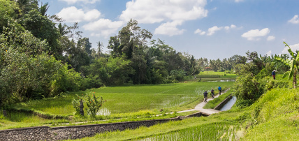 Combiné Ubud & Sanur : The Mansion Ubud 4* & Hôtel Prama Sanur Beach 4* by Ôvoyages, Combiné Indonésie, Bali par Ôvoyages Combiné Ubud & Sanur : The Mansion Ubud 4* & Hôtel Prama Sanur Beach 4* by Ôvoyages, Combiné Indonésie, Bali par Ôvoyages