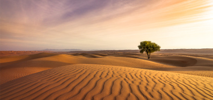 Hôtel Al Husn Muscat 5* Adult Only +16, Séjour Oman par Ôvoyages Hôtel Al Husn Muscat 5* Adult Only +16, Séjour Oman par Ôvoyages